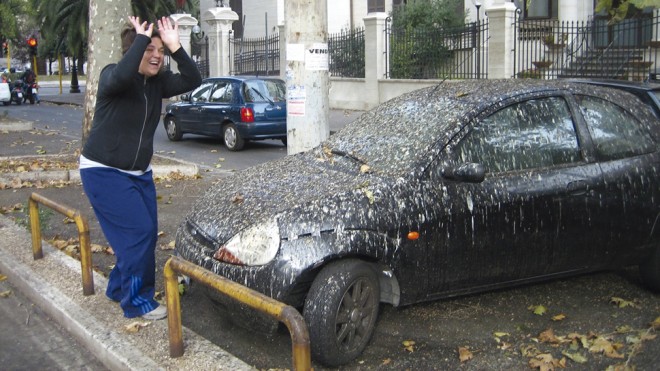 paloma caca coche limpiar